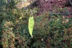 20201003_081853_web