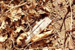 20201126_105335_web