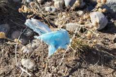 20210404_085041_web
