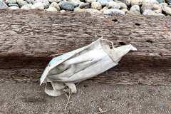 IMG_0200_web