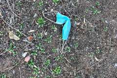 IMG_0256_web