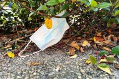IMG_0364_web