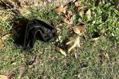 IMG_0693_web