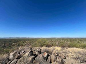 Signal Hill in Saguaro National Park