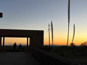 People and yucca plants are silhouetted at the Marfa Lights Viewing Platform